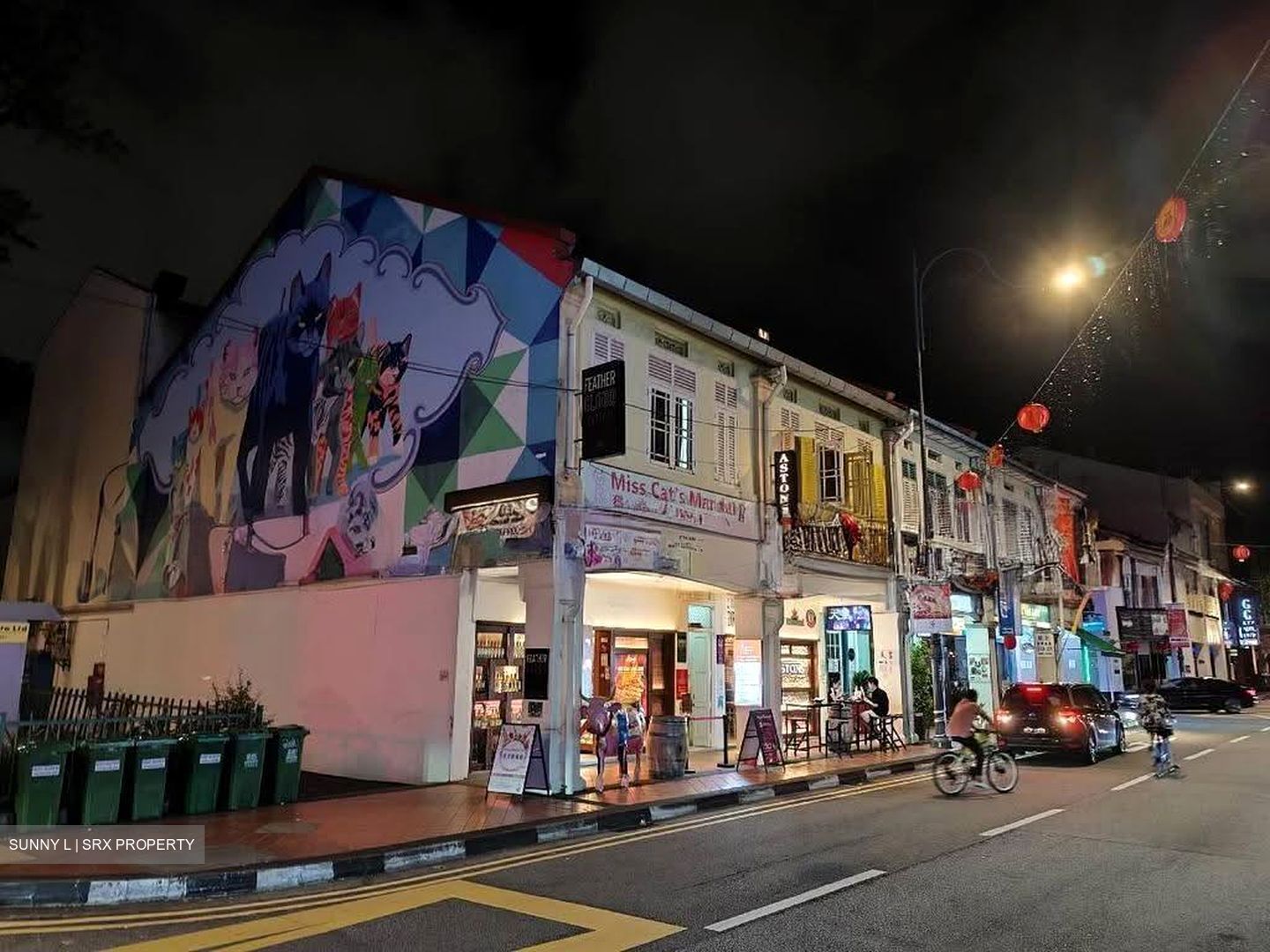 Joo Chiat Road (D15), Shop House #607856461